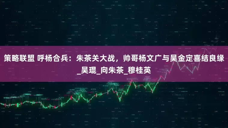 策略联盟 呼杨合兵：朱茶关大战，帅哥杨文广与吴金定喜结良缘_吴琨_向朱茶_穆桂英