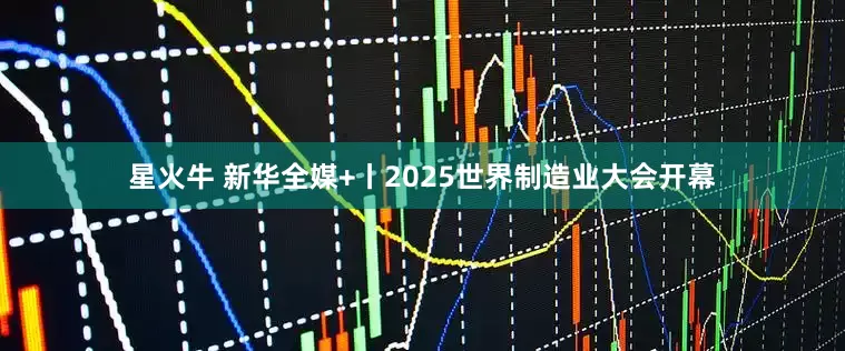 星火牛 新华全媒+丨2025世界制造业大会开幕